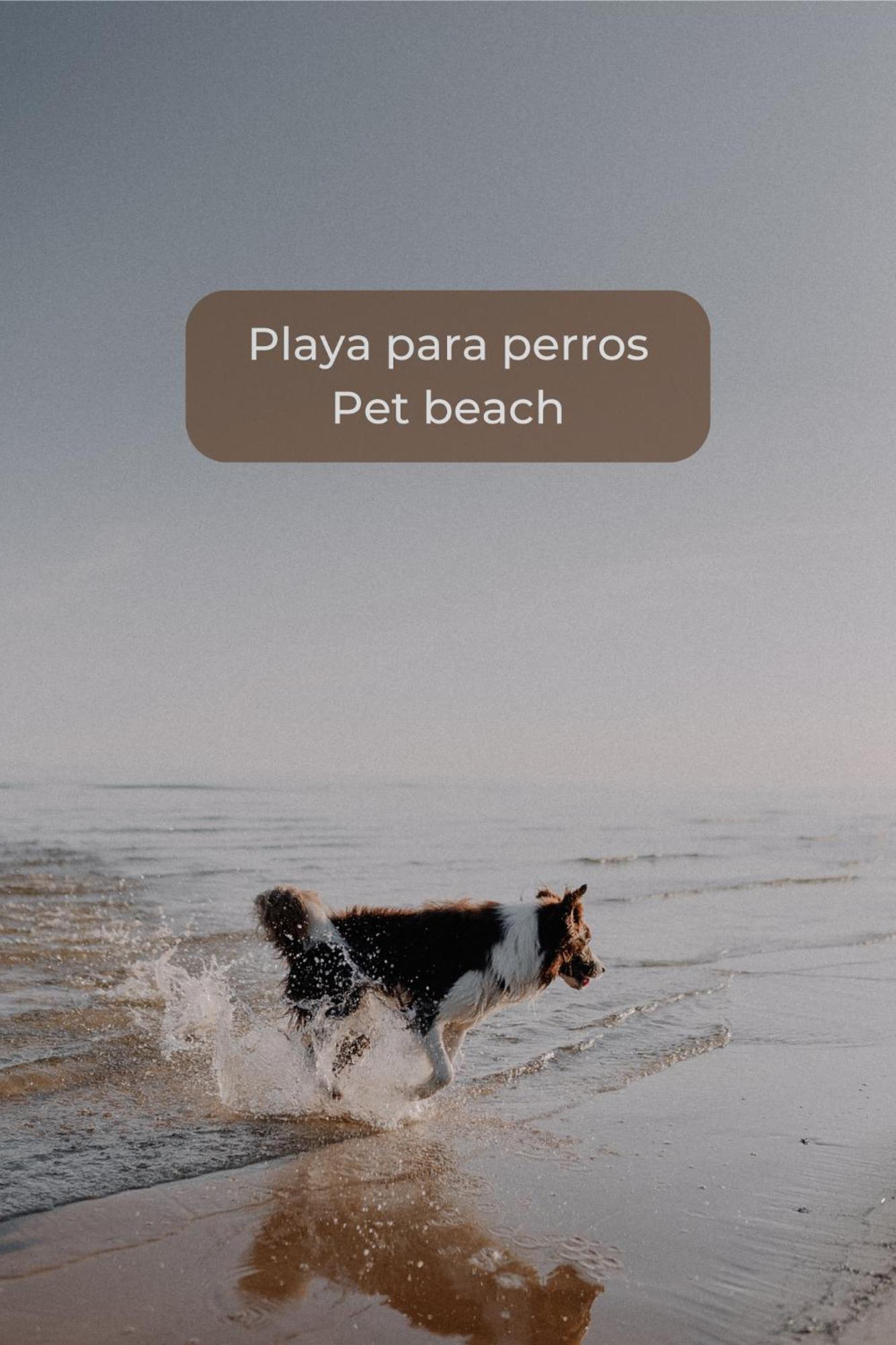 Pineapple Sorbet Piscina, Doble Terraza, Cocina Completa Y Wifi Apartment Corralejo Ngoại thất bức ảnh